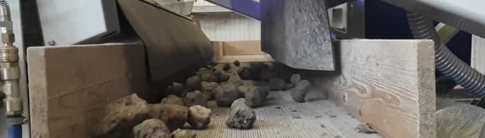 根茎类分选方案 图片 9