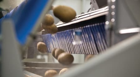 根茎类分选方案 图片 13